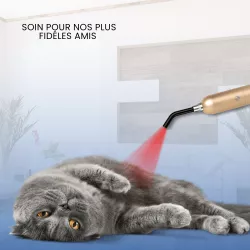Torche de photothérapie LED 3 couleurs | Medi-Lum