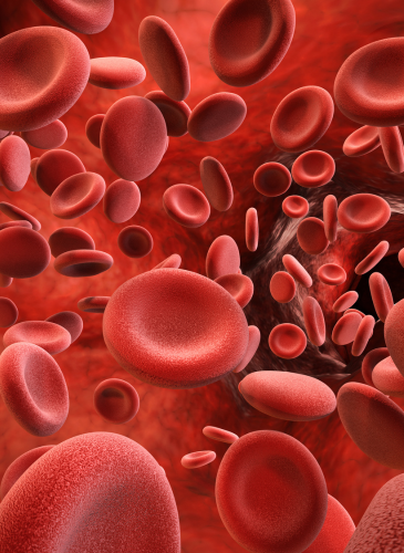 394_38489_format-image-bloc-conseil-sant-_365x500-globules-rouges.png