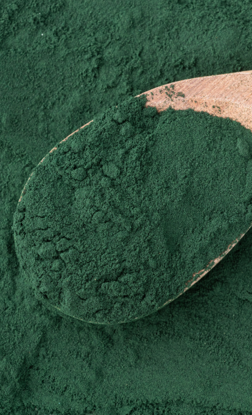 500_70305_bn-de-365-x-600-px-2.png